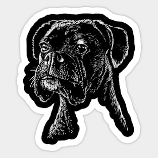 Boxer Dog Pet Sticker